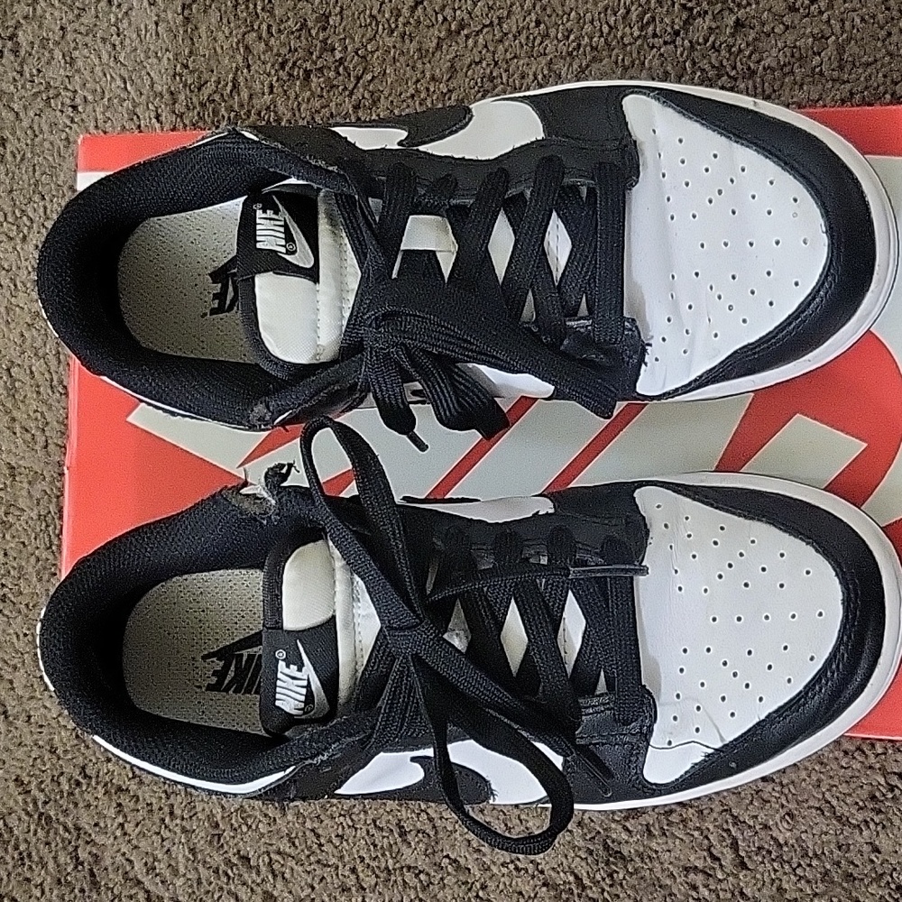 Used Women's Dunk Low Shoes 6.5